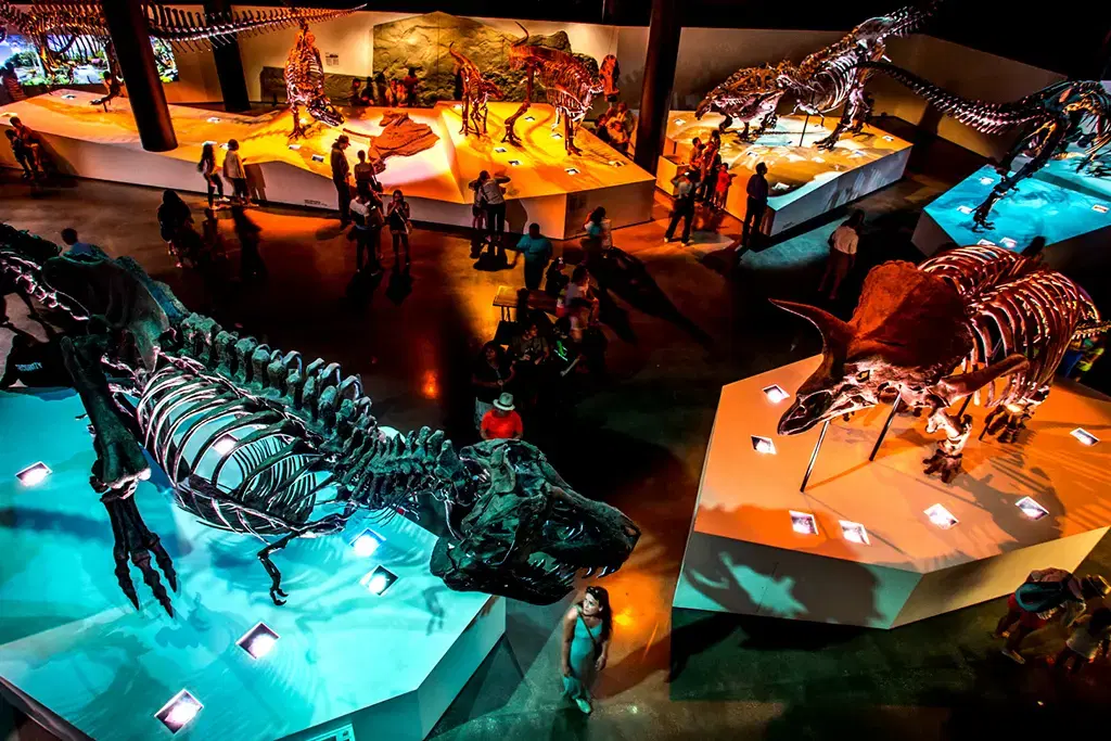 Museu de Ciência Natural de Houston